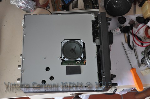 DSC 5251