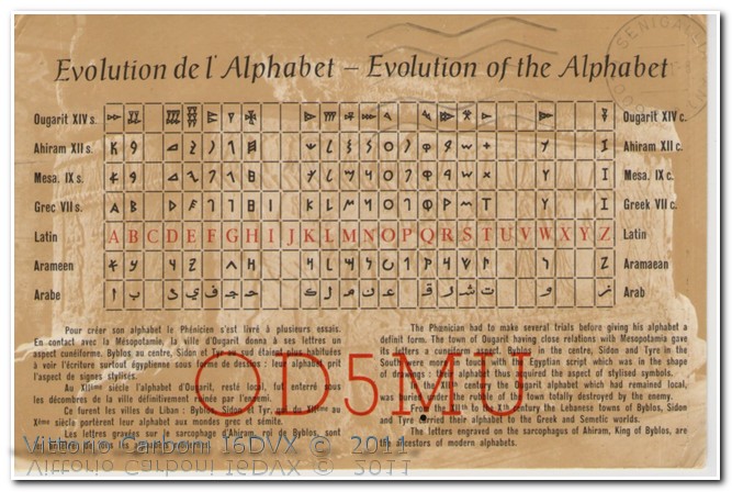 145_F.jpg